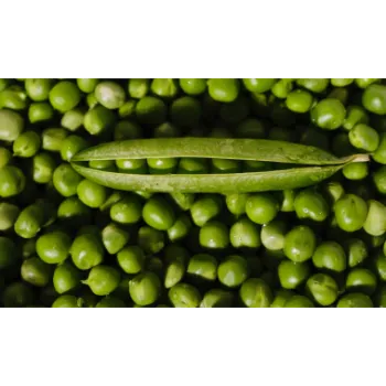 Green Peas  (39)-7383480-93933.webp